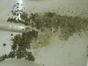 zlindra-1